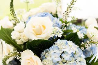 Folls' Flowers - 48