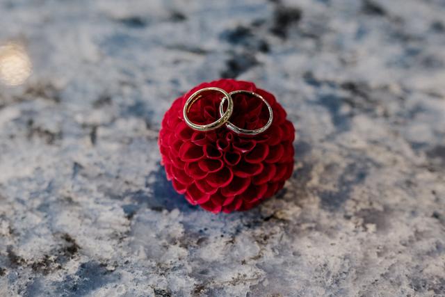 Roots & Anchors Heirloom Photography - 4