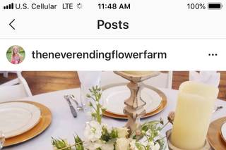 The Never Ending Flower Farm - 25
