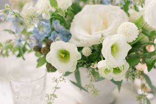 Bond in Bloom - 18