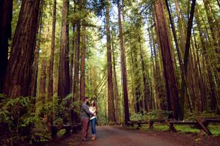 Carolyn Leonard Photography - 1