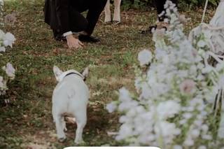 The Paris Officiant - 31