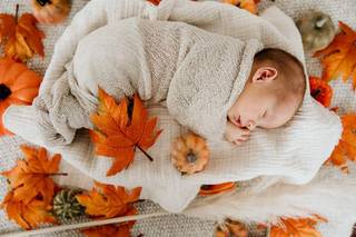 Pheral Photography - 46