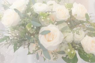 Gina Petersen Photography - 14
