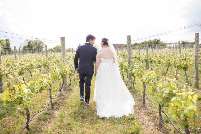 Sanctuary Vineyards 4