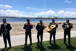 Mariachi Real De San Diego - 4