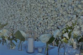 Curated by Grace + White - 17