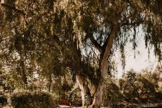 Galway Downs by Wedgewood Weddings - 30