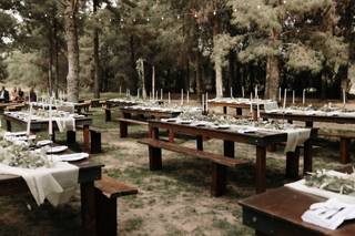 Weddings at Schnepf Farms - 94