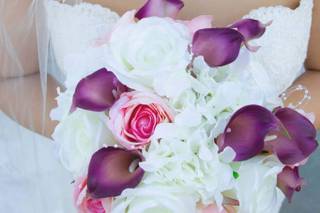krisann photography - 33