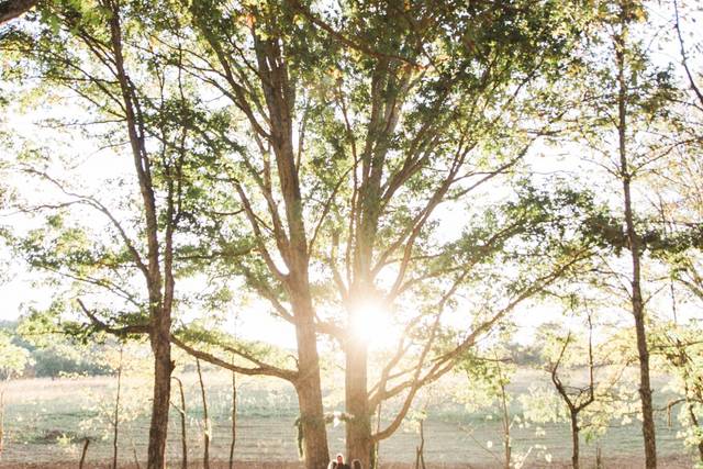 Kelli Carrico Photography 3