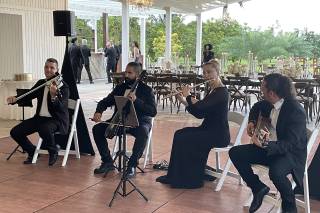 Elegant Musicians, LLC. - 6