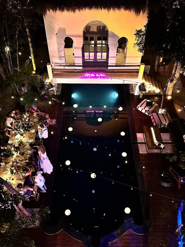 Ambre et Epices Jungle Venue - 4