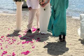 Bill Mortley Photography - 6