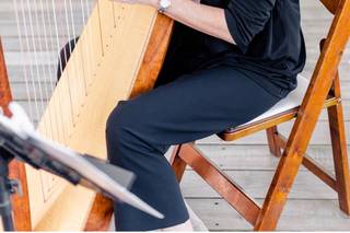 Kim Perkins Charleston Harpist 4