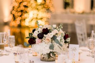 Anne Lee Photography - 38