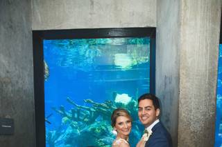 New England Aquarium - 20