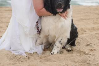 Sarah Shelley Photography - 5