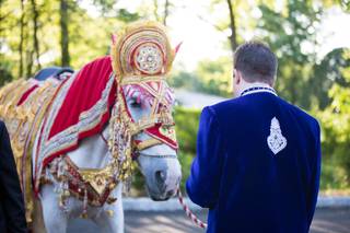 Dhoom Events Indian Wedding DJ - 12