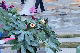 PLAIN WITH SPRINKLES EVENTS - 57