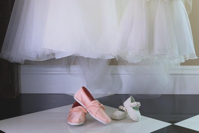 Dave Thompson Photography - 1