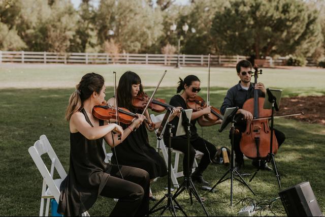 Clover String Quartet - 4