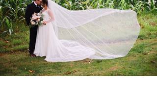 Paul Francis Photography - 26
