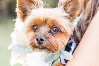 Rebecca Dotson Photography - 10