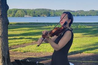 PixieViolin - 19