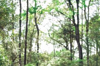 Sarah Hedden Photography - 35