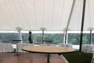 Events Unlimited Tent and Party Rentals - 13