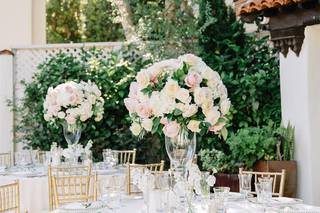 Moments in Bloom - 11
