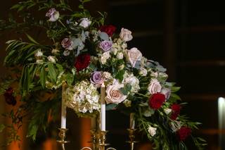 RSBP Events - 6