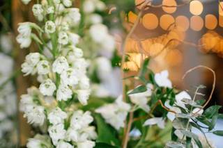 Wild Hill Flowers and Events - 24