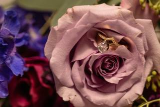 Petal's Edge - 13