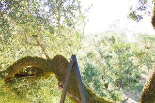 Cambria Events - 14
