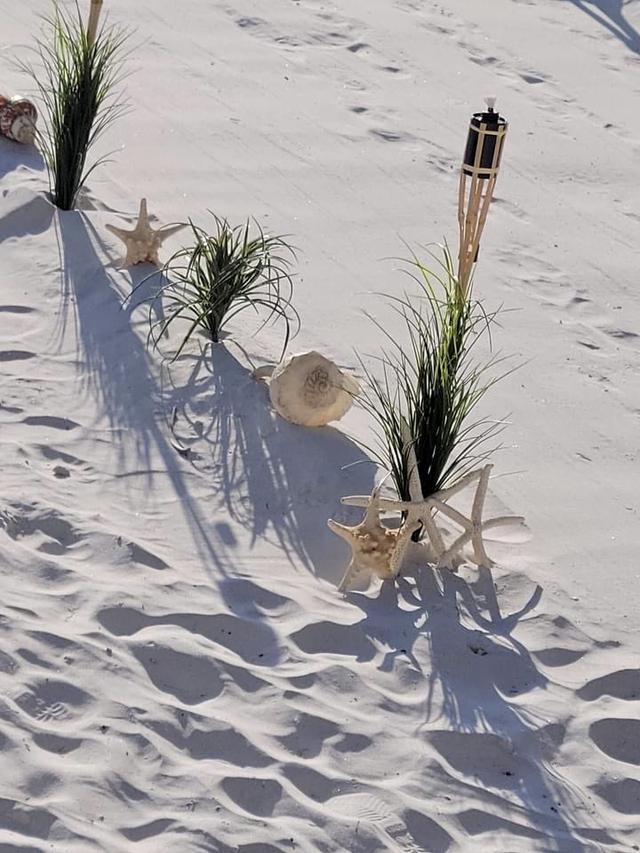 Florida Paradise Weddings - 1