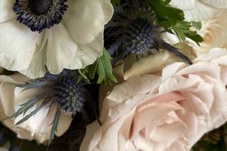 Zinnia and Company - 9