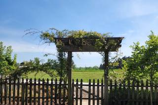 Sandy Creek Farms - 19