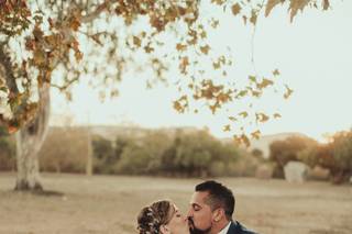 James Lester Photography - 36