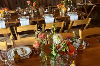 Wild Fern Boutique - 16