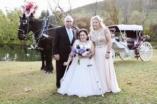 Horsing Round Carriage Service - 11