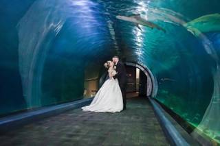 Adventure Aquarium - 38