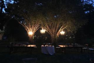 Robin Sevrina Events - 7