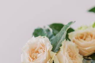 Rebecca Ames Photography - 5