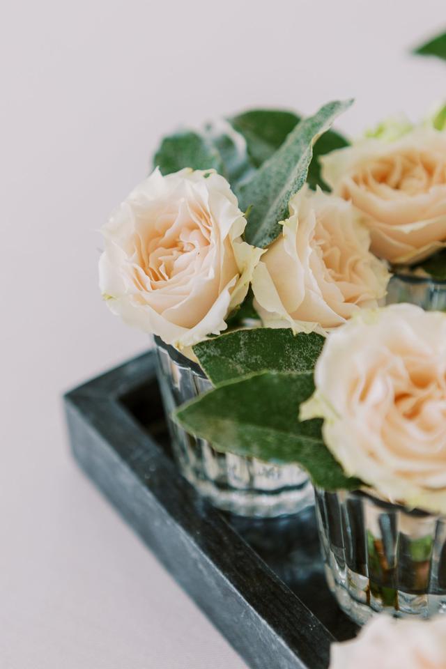 Rebecca Ames Photography - 2