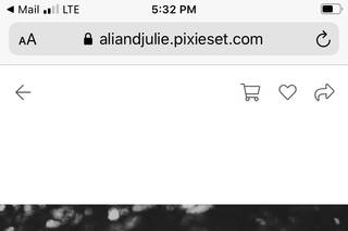 Ali + Julie - 14