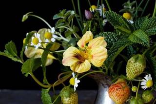 Allora Farm & Flowers - 39