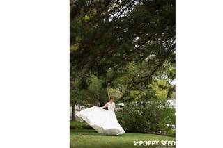 Poppy Seed Photography - 1