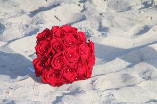 Cocoa Beach Weddings - 15